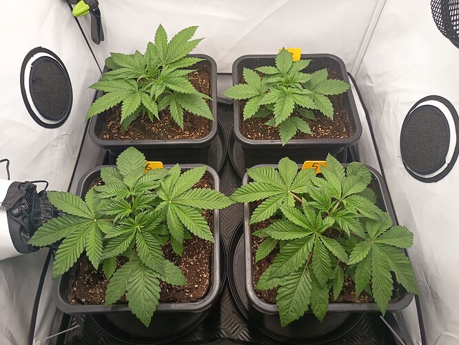 Growreport Bild 5