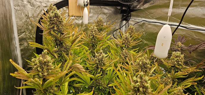 Growreport Bild 17