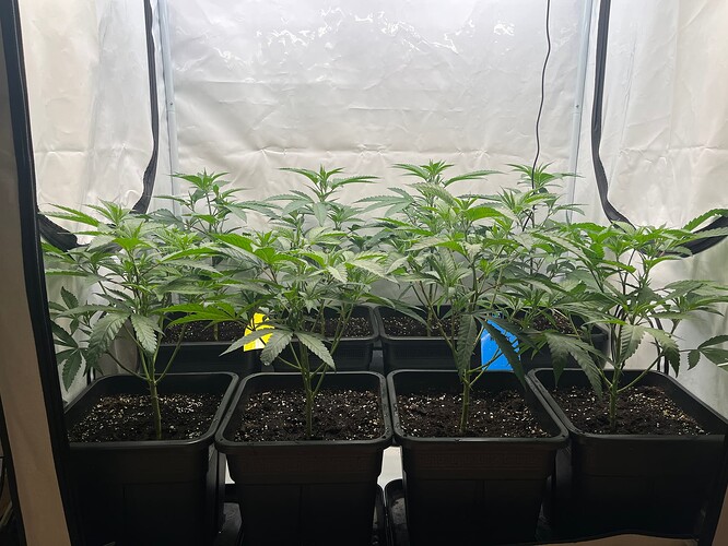 Growreport Bild 30