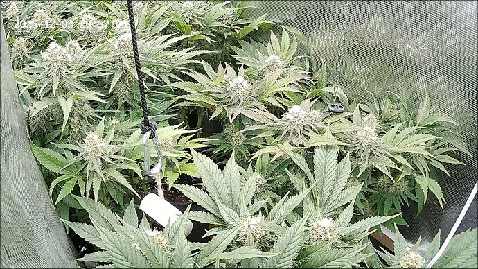 Growreport Bild 8