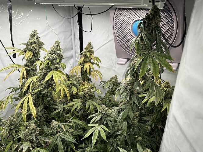 Growreport Bild 2
