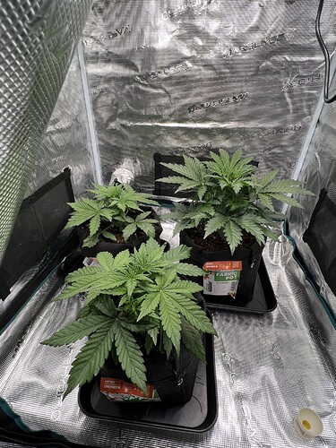 Growreport Bild 10