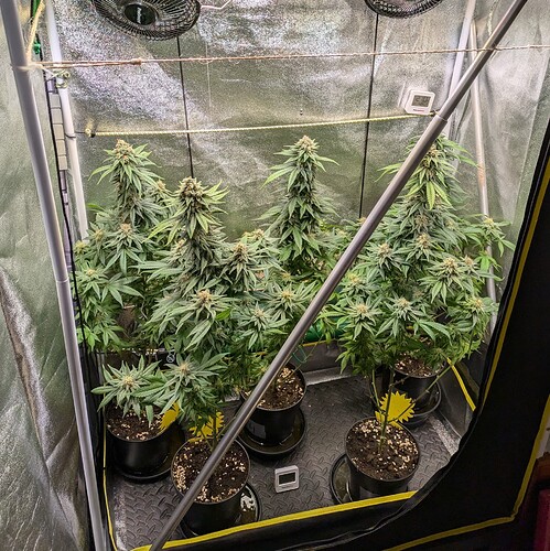 Growreport Bild 14