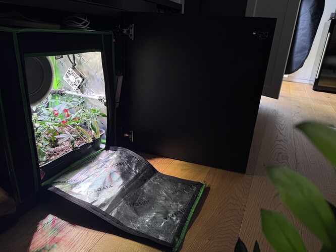 Growreport Bild 5