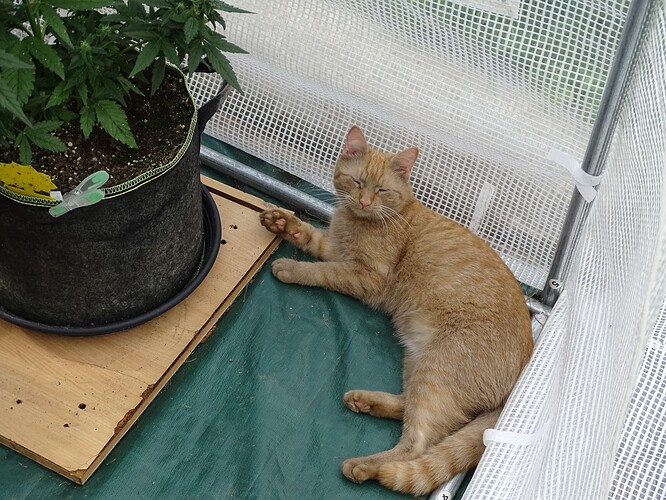 Growreport Bild 1