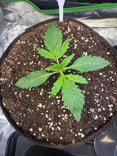Growreport Bild 30