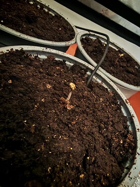 Growreport Bild 5