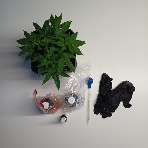 Growreport Bild 21