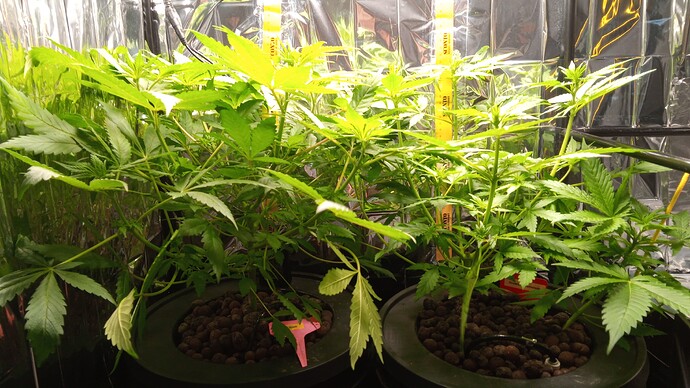 Growreport Bild 3