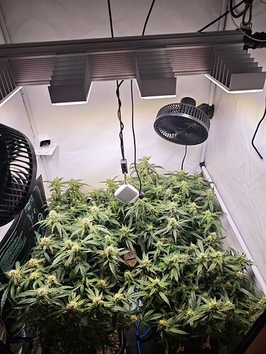 MVIMG_20251107_163507