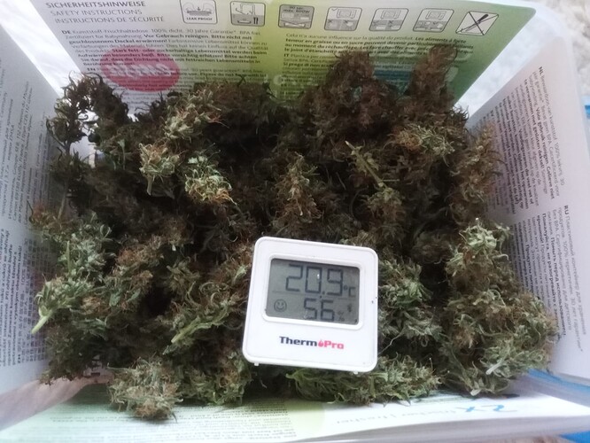 Growreport Bild 13