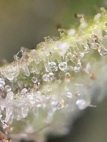 Growreport Bild 11