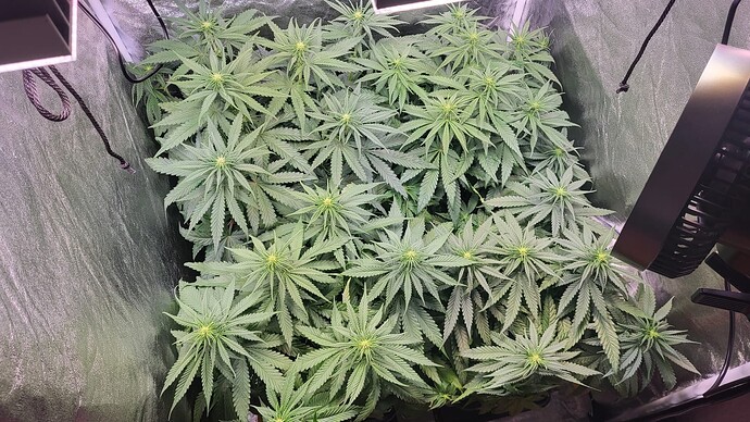 Growreport Bild 2