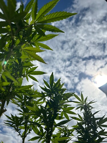 Growreport Bild 19