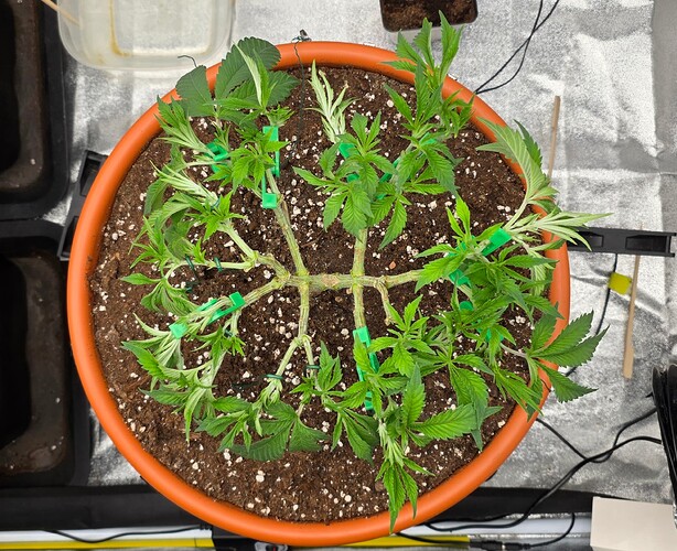 Growreport Bild 4