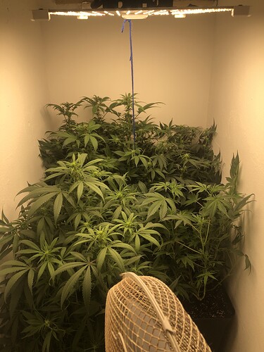 Growreport Bild 4