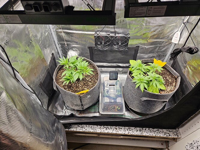 Growreport Bild 3