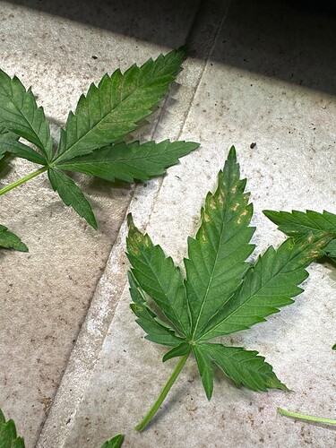 Growreport Bild 15