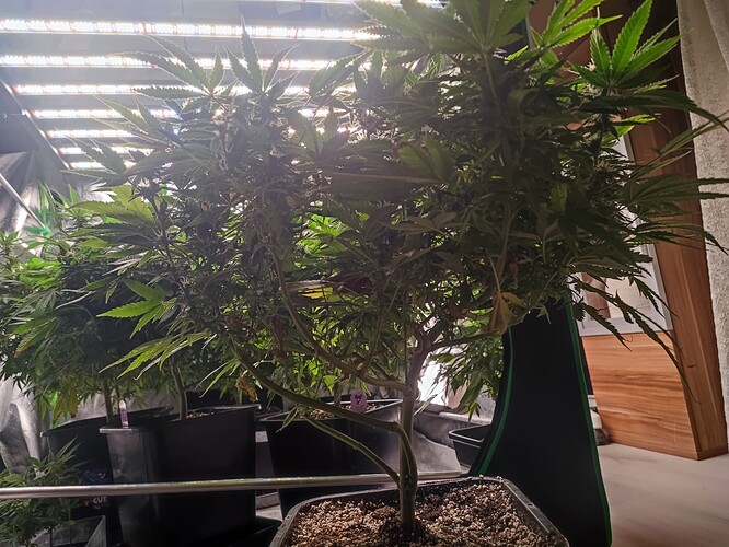 Growreport Bild 8