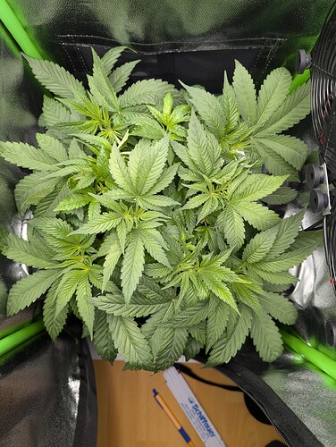 PXL_20240923_091710307