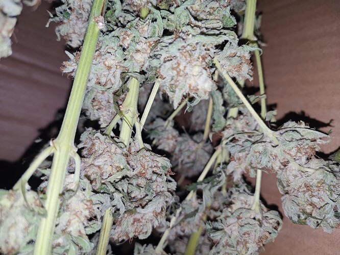 Growreport Bild 6