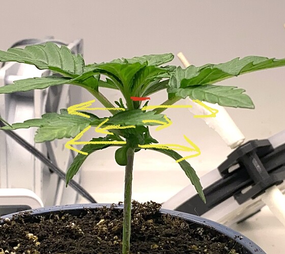 Growreport Bild 12