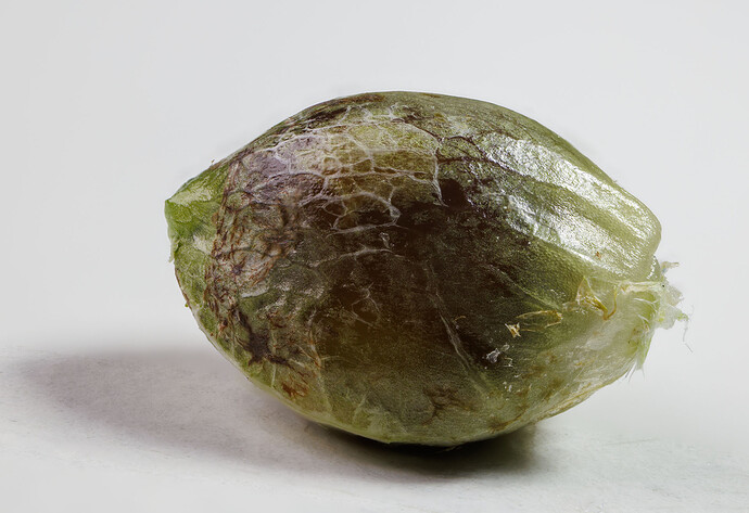 Growreport Bild 2