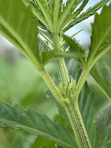 Growreport Bild 16