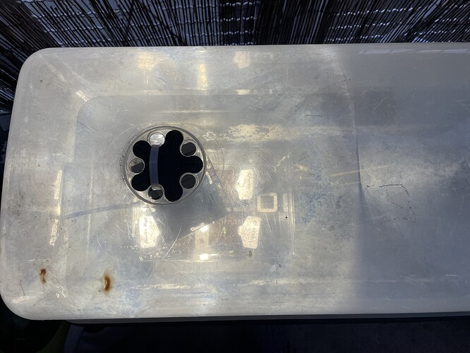 Growreport Bild 10