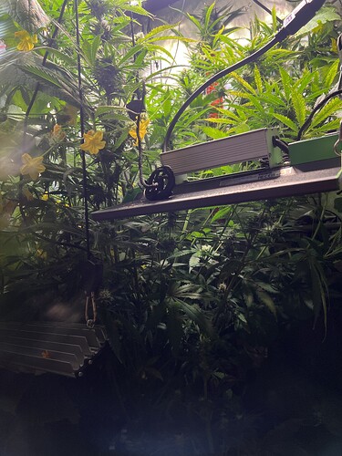 Growreport Bild 25