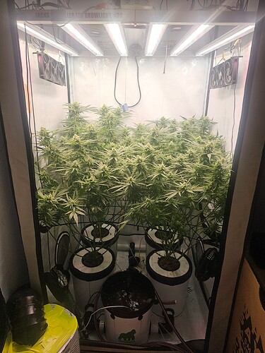 Growreport Bild 20