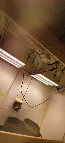 Growreport Bild 8