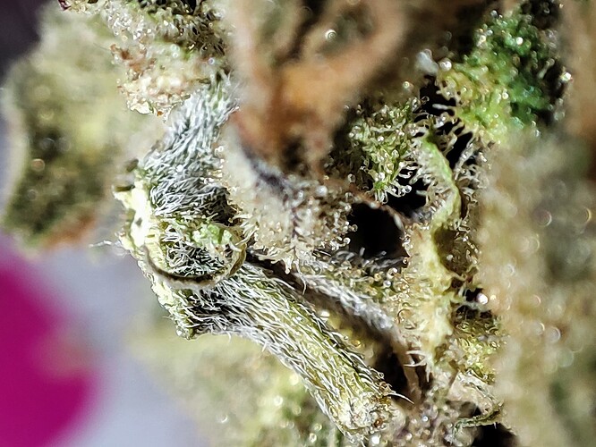 Growreport Bild 26