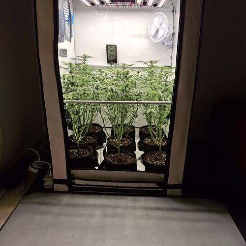 473726319_122164881032293599_7975980862900869320_n