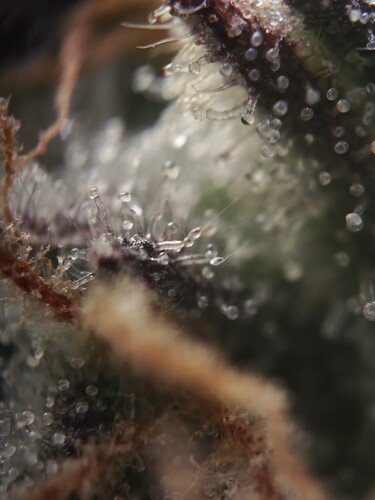 MVIMG_20251120_205520