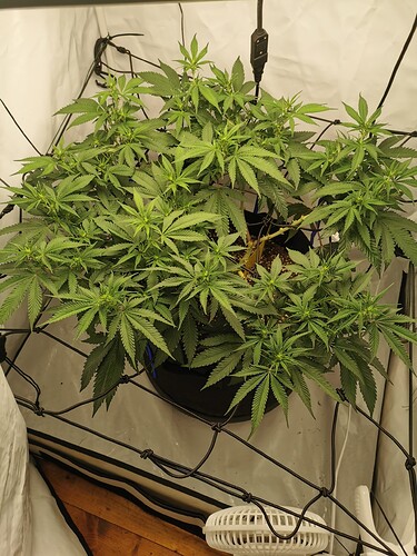 Growreport Bild 7