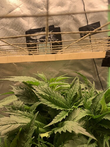 Growreport Bild 17