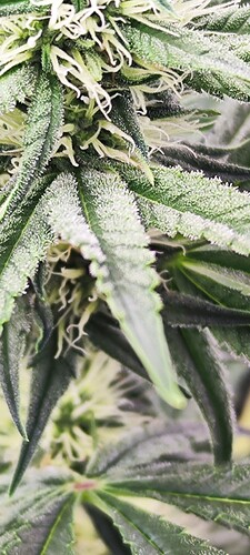 IMG_20240302_090757