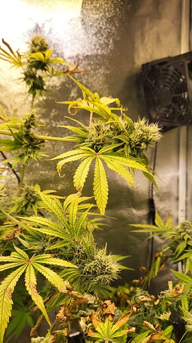 Growreport Bild 11