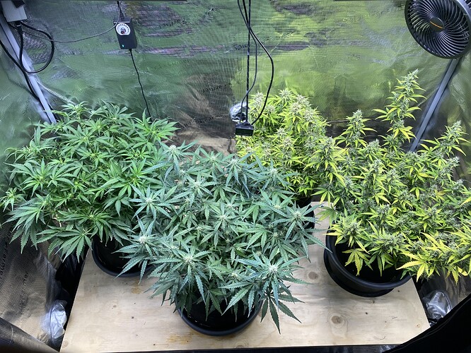 Growreport Bild 9