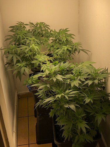 Growreport Bild 10