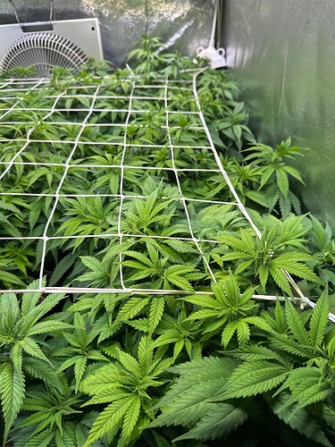 Growreport Bild 11