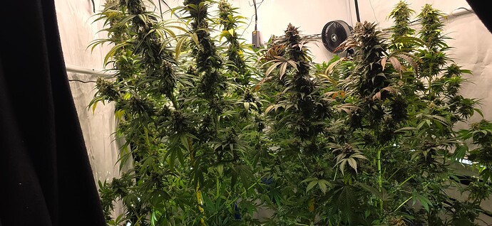 Growreport Bild 9