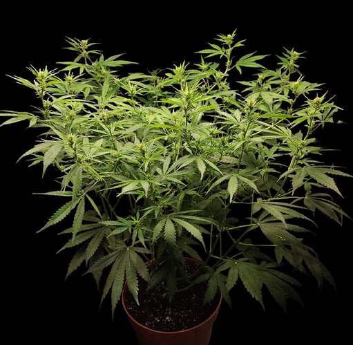 Growreport Bild 10