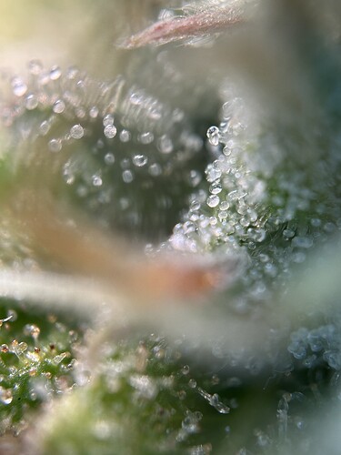 Growreport Bild 12