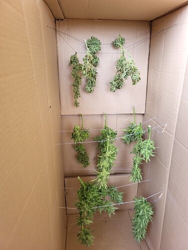 Growreport Bild 2