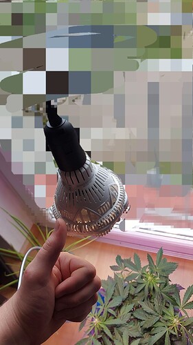 Growreport Bild 15