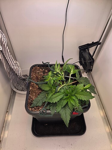 Growreport Bild 5