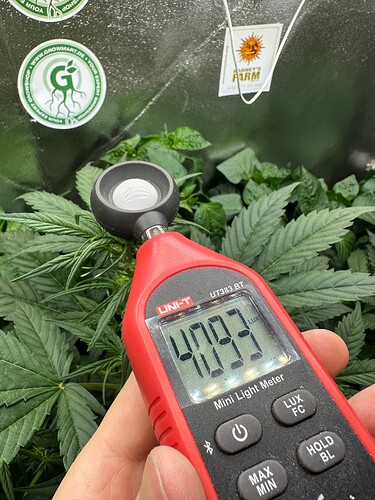 Growreport Bild 26