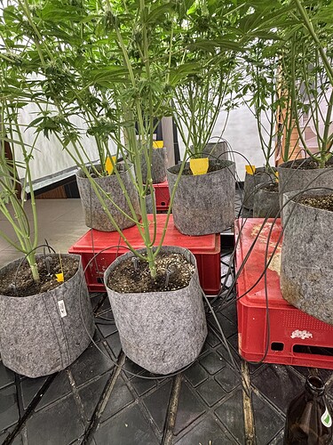 Growreport Bild 21